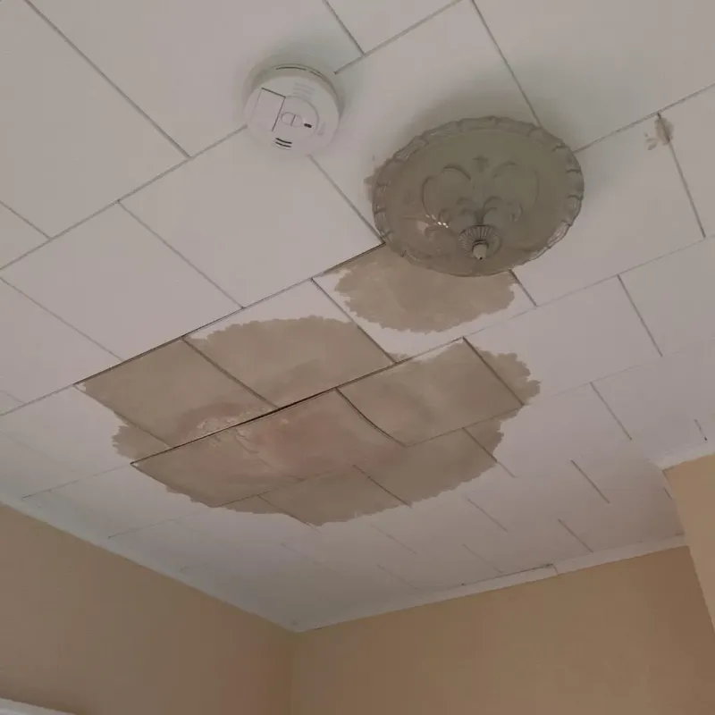 Ceiling Water Damage Repair in Mound City, KS