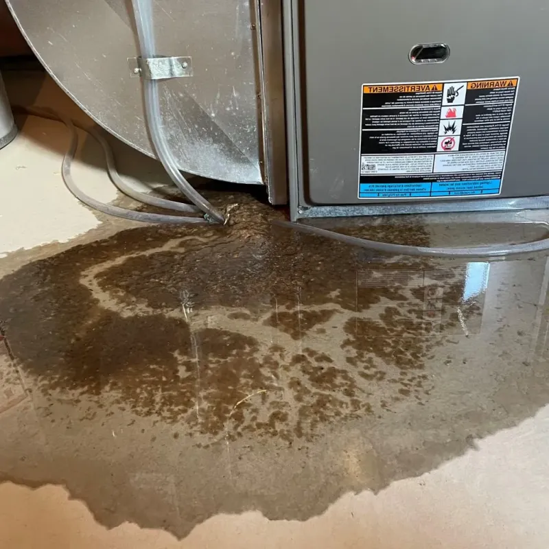 Pipe Burst and Leak Restoration in Mound City, KS