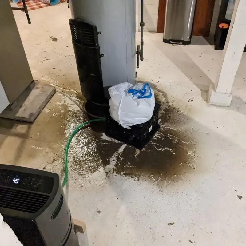 Sewage Backup Cleanup Service in Mound City, KS